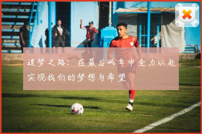 追梦之路：在最后两年中全力以赴实现我们的梦想与希望